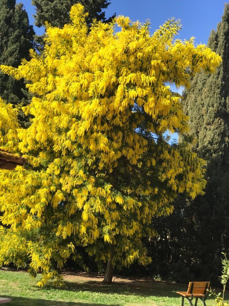 Agriturismo Podere Giulio 타르퀴니아 외부 사진