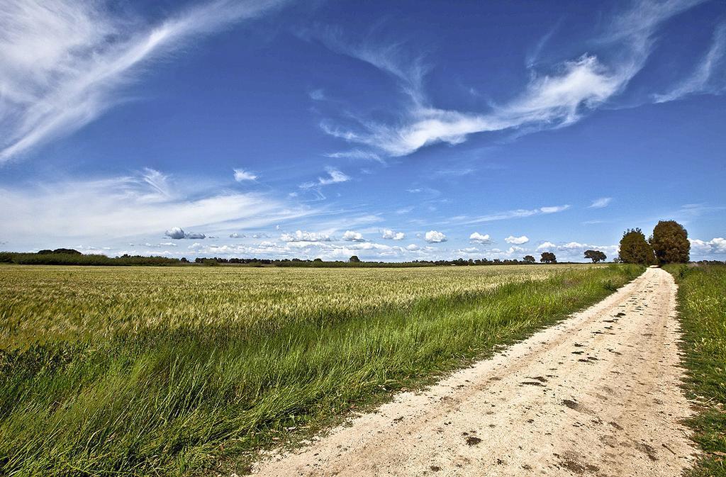 Agriturismo Podere Giulio 타르퀴니아 외부 사진