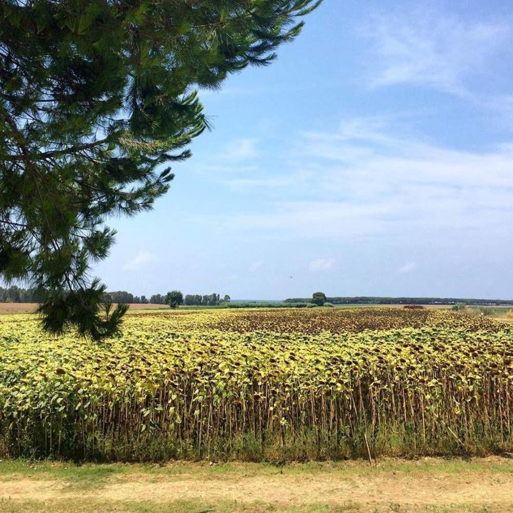 Agriturismo Podere Giulio 타르퀴니아 외부 사진